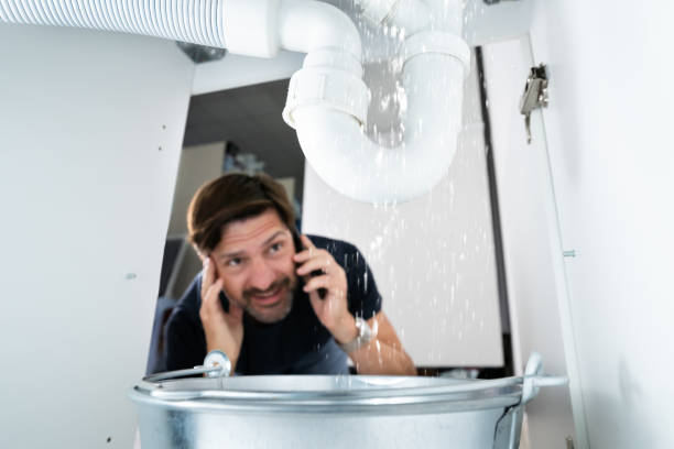 Best Affordable Plumber Near Me  in Sleepy Eye, MN